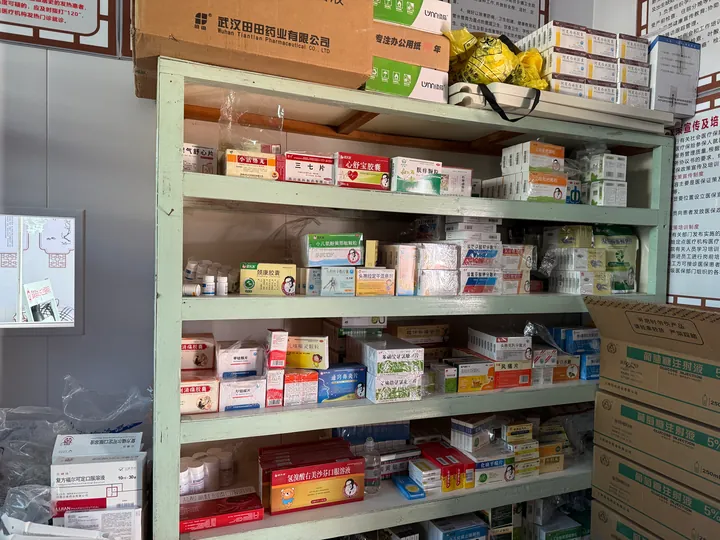 Boxes, bottles, and small packets arranged in a glass-fronted medicine cabinet.
