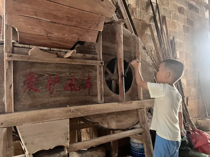 A child reaching for the handle of a wooden farm tool inside a brick building.