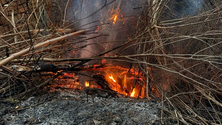 Flames and glowing embers among branches.