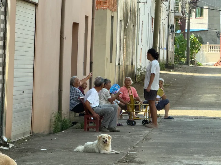 People gathered in conversation in a village lane, with a dog in the foreground.