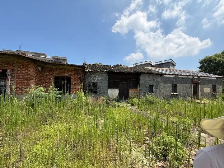 Old brick buildings and overgrown vegetation beneath a blue sky.