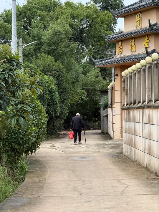 An older person walking along a lane with a cane and a red bag.