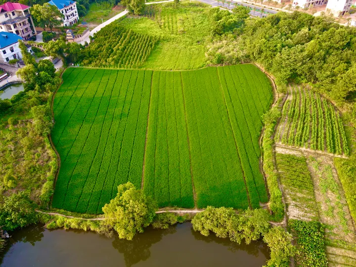An aerial view of green fields, houses, and a water channel.