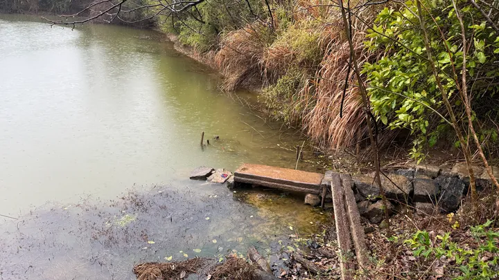 A pond in the rain, with stone steps at the water’s edge.